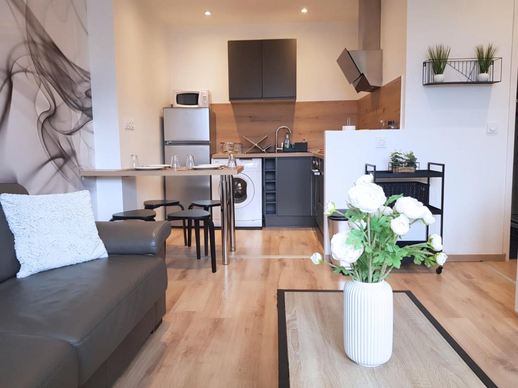 Apartment Vue Montagne - Appt Cosy Et Calme - Netflix - Fibre